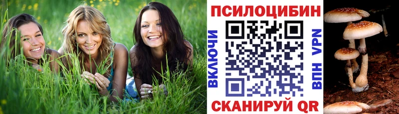 Псилоцибиновые грибы мухоморы  Апшеронск 