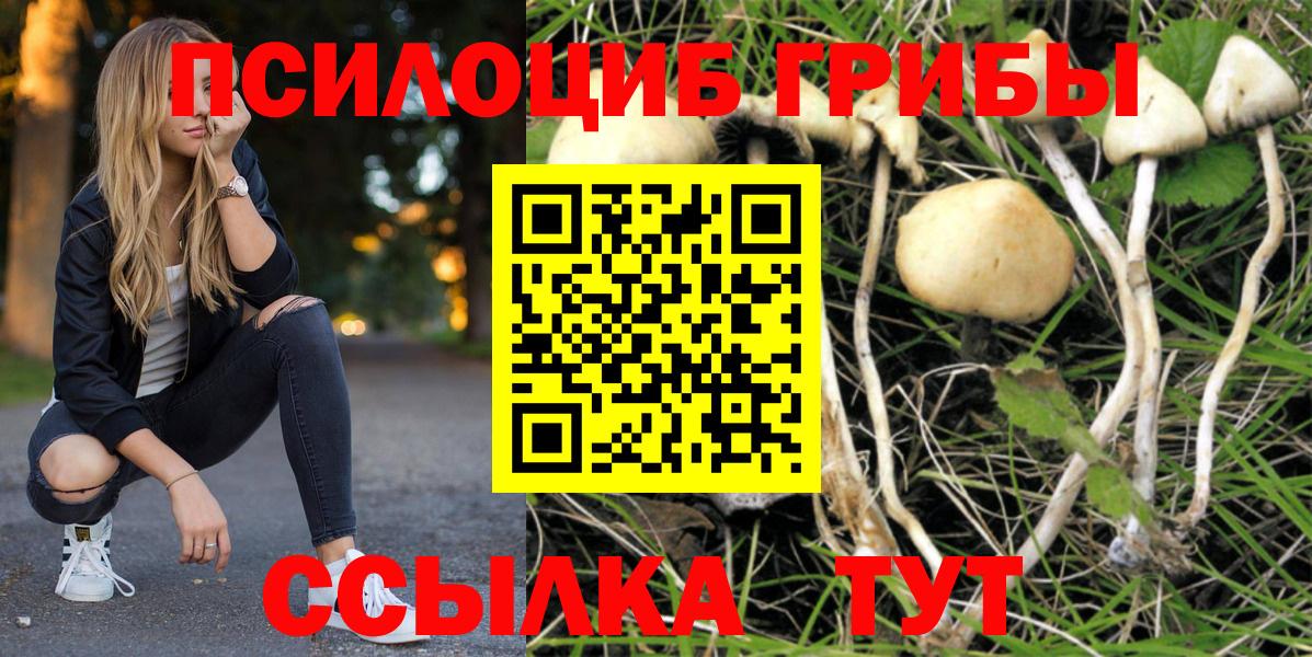 наркотики  Галлюциногенные грибы Cubensis  Вход с VPN  Апшеронск 